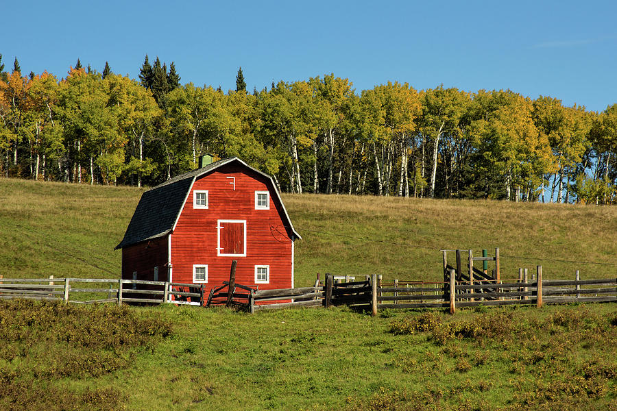 Red barn on the hill Photograph by Celine Pollard