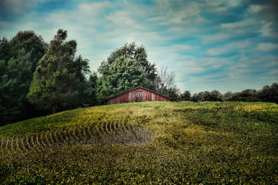 Architecture Photograph - Red Barn On The Hill by Jai Johnson