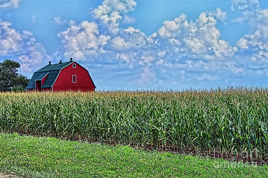 Red Barn Paradise Photograph by Cathy Beharriell