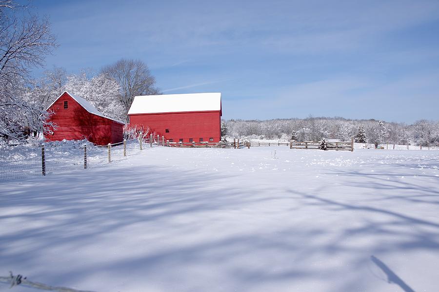 Red Barn in snow Photograph by Philip Derrico