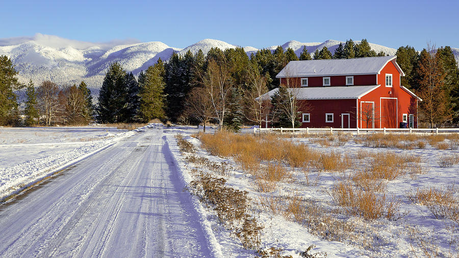 Red Barn Scene Photograph by Jack Bell