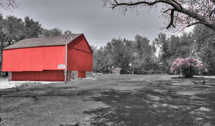 Red Barn Photograph - Red Barn Spring Lilacs by Shane Mossman Red Barn Photograph - Red Barn Spring Lilacs by Shane Mossman