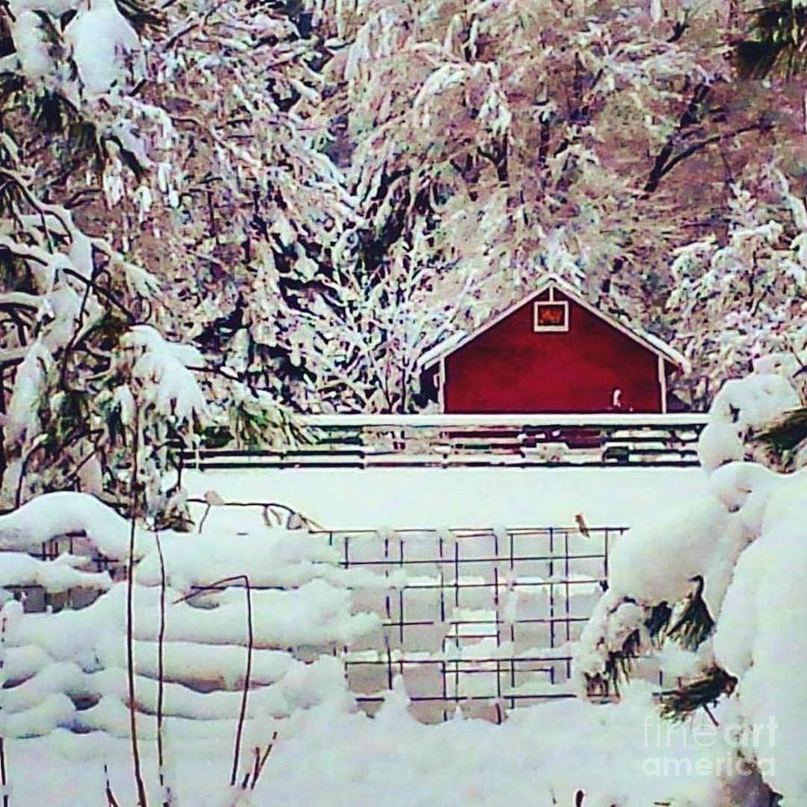 Red Barn Photograph by Sylvia Beatty | Fine Art America