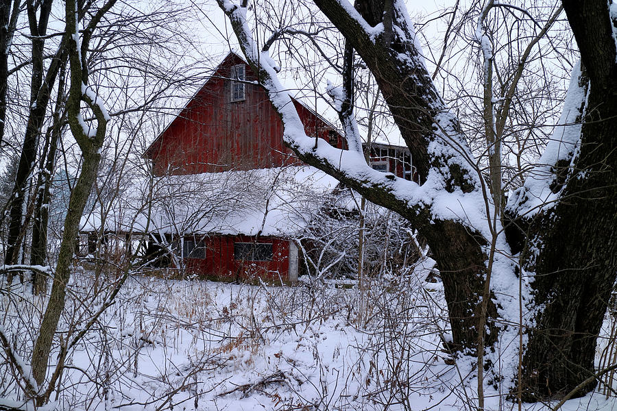 Red Barn Through the Trees Photograph by Scott Kingery