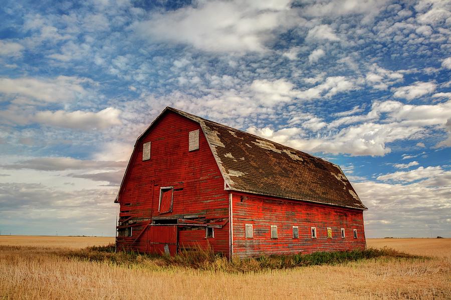 Red Barn Under a Confetti Sky Photograph by Harriet Feagin