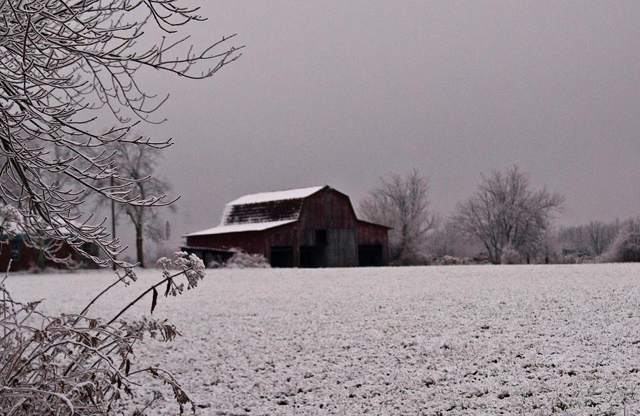 Barn Photograph - Red Barn Under Snow by Douglas Barnett