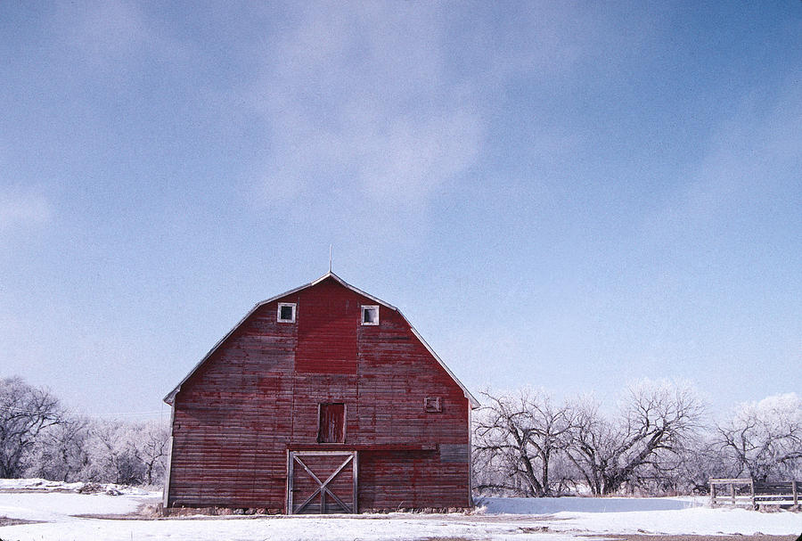 Red Barn Winter Photograph by William Kimble