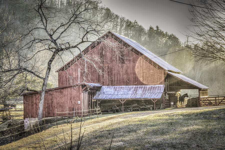 Horse Photograph - Red Barn with a Horse by Griffeys Sunshine Photography