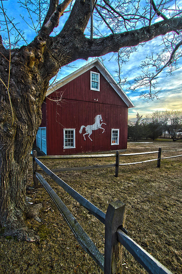 Red Barn with White Horse Photograph by Robert Seifert