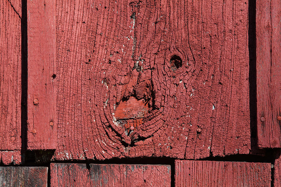 Red Barn Wood Photograph by David Letts