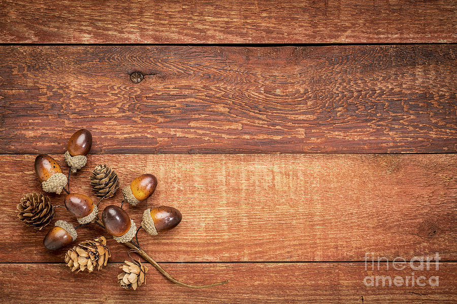 Red Barn Wood With Fall Decoration Photograph by Marek Uliasz