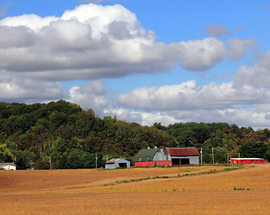 Red Barns in the Countryside Photograph by Angela Murdock