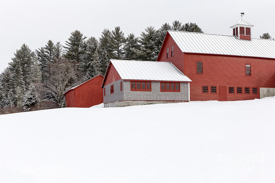 Red Barns in the Snow Photograph by Edward Fielding