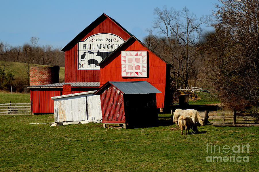 Red Barns Photograph by Scott Bennett