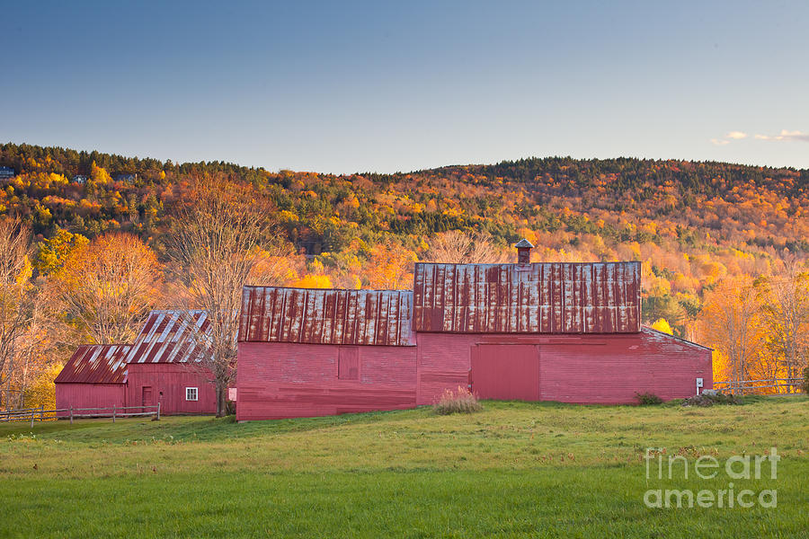 Red Barns Photograph By Susan Cole Kelly Fine Art America