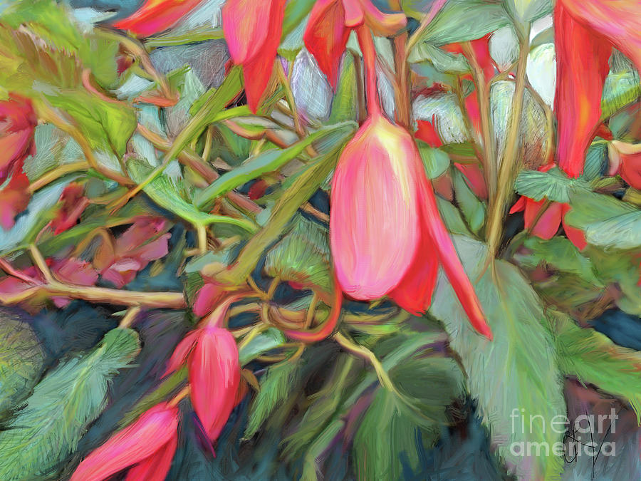 Red Begonia by CR Leyland Red Begonia by CR Leyland