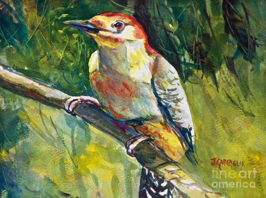 Red Bellied Woodpecker Painting by Joyce Guariglia