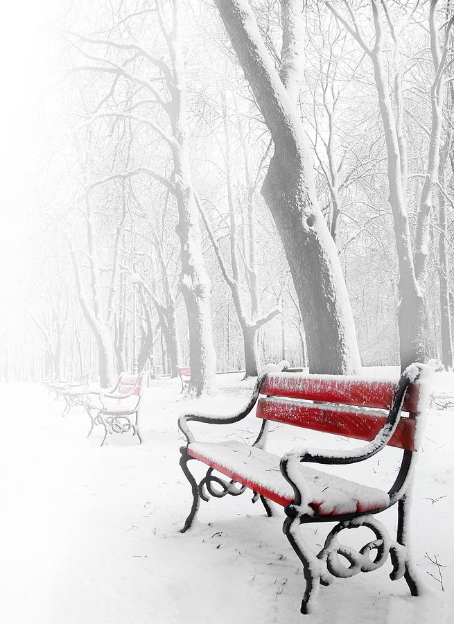 Beautiful Photograph - Red bench in the snow by  Jaroslaw Grudzinski