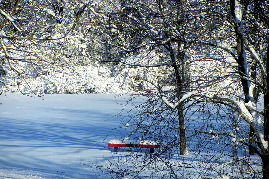 Red Bench Winter Scene Photograph