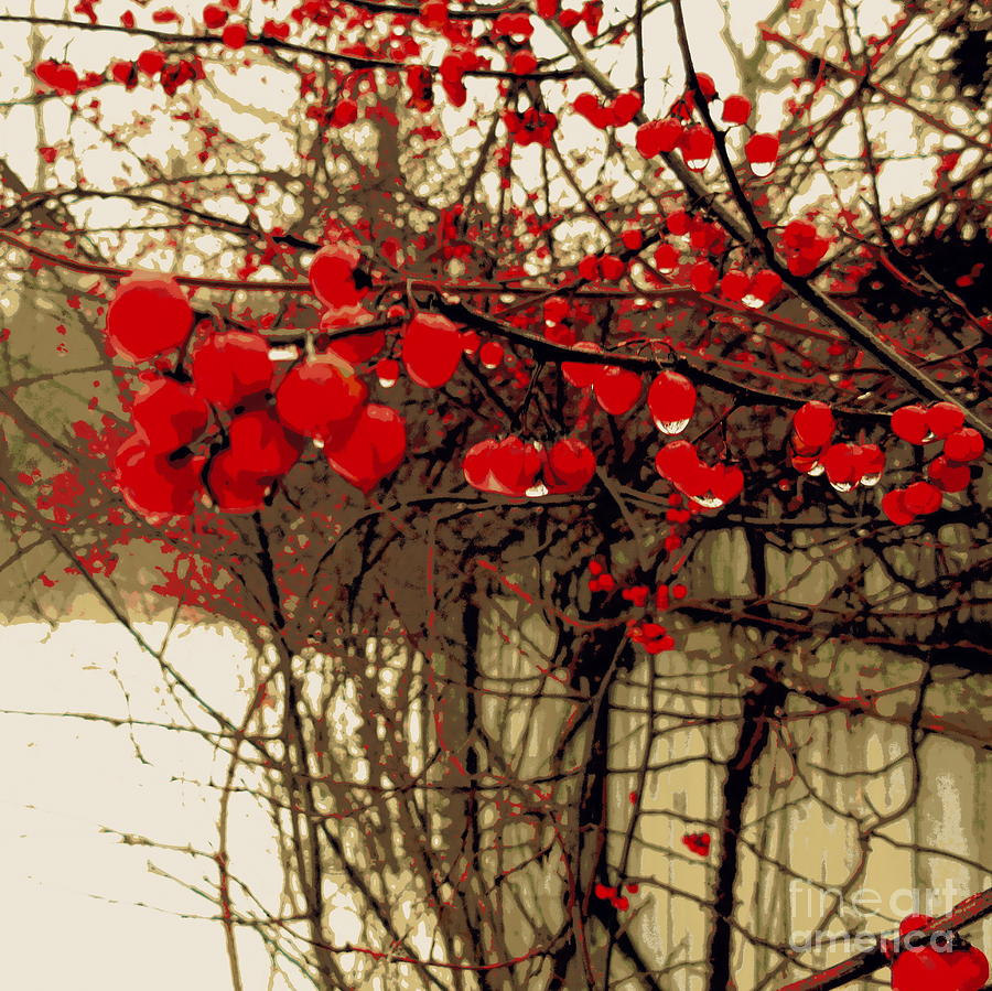 Red Berries in Winter Mixed Media by Susan Lafleur