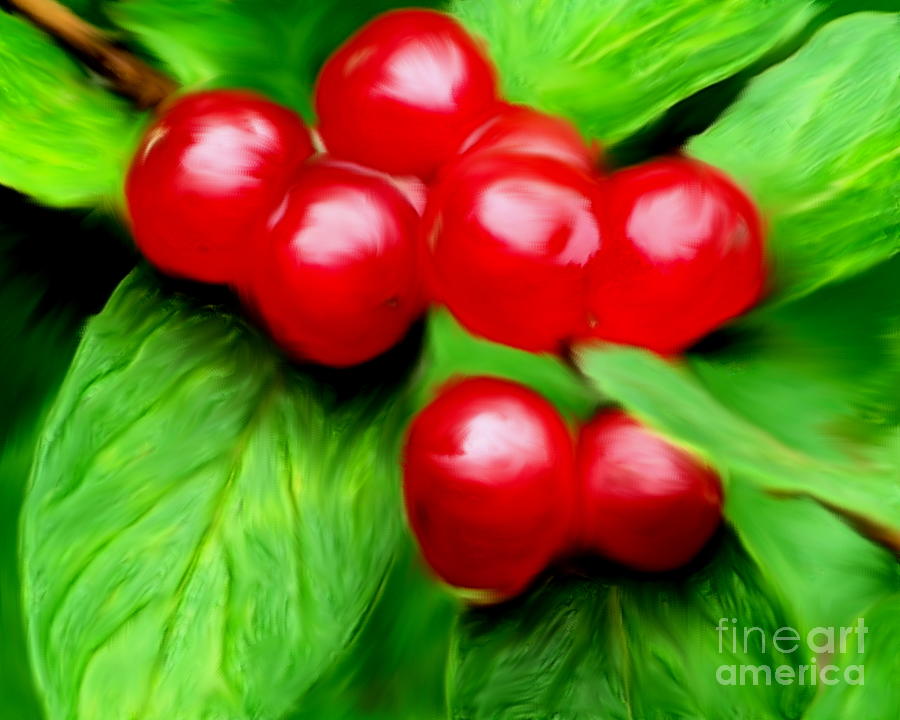 Red Berries Painting by Smilin Eyes Treasures