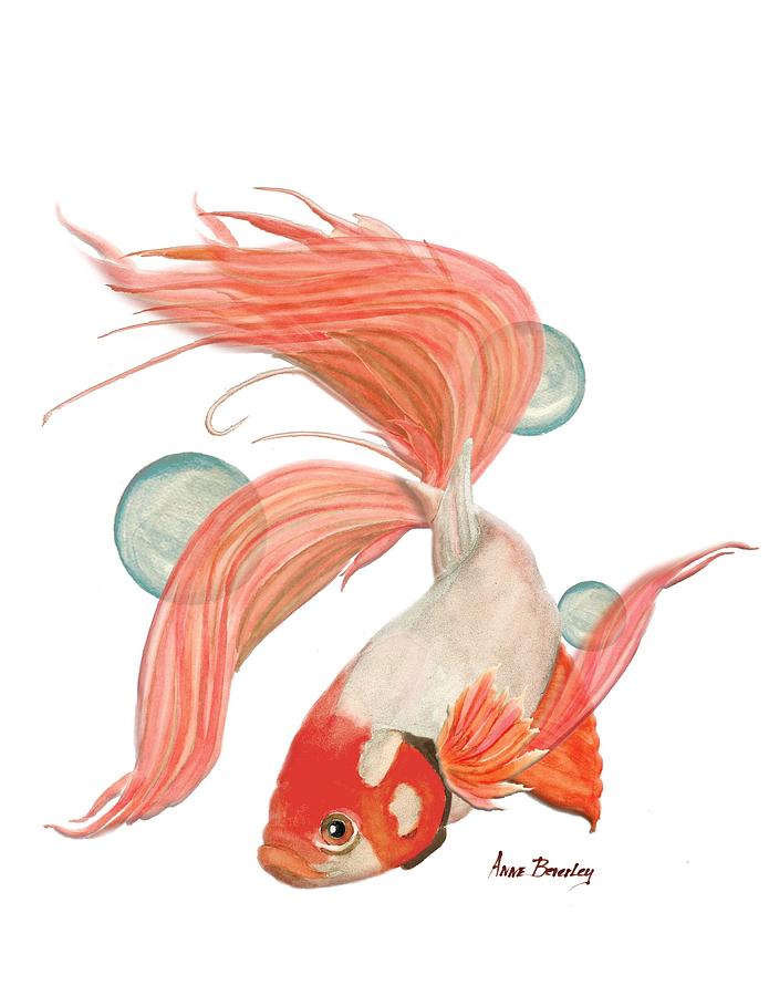 Red Beta Fish Painting by Anne Beverley-Stamps