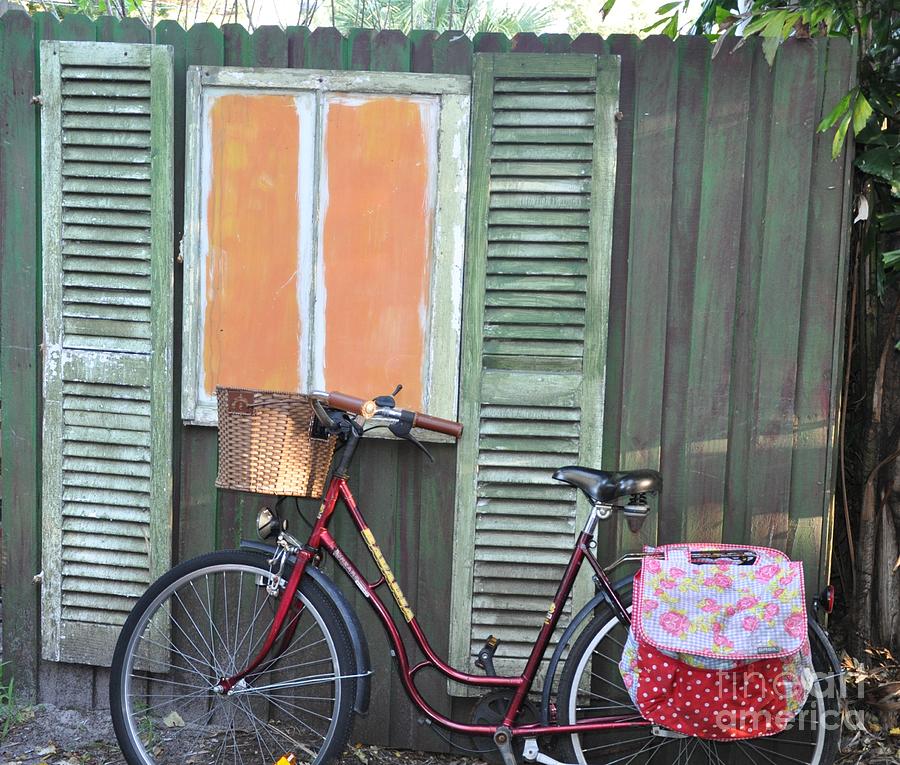 Red bicycle green shed Photograph by Rose  Hill