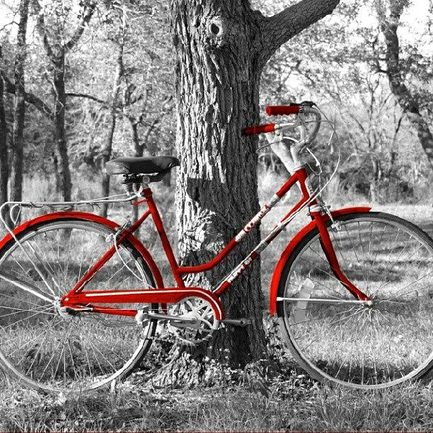 Bicycle Photograph - Red Bicycle II by James Granberry