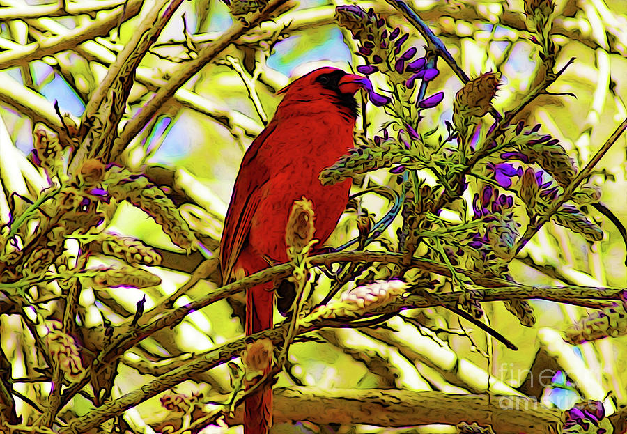 Red Bird Eating Wisteria Digital Art