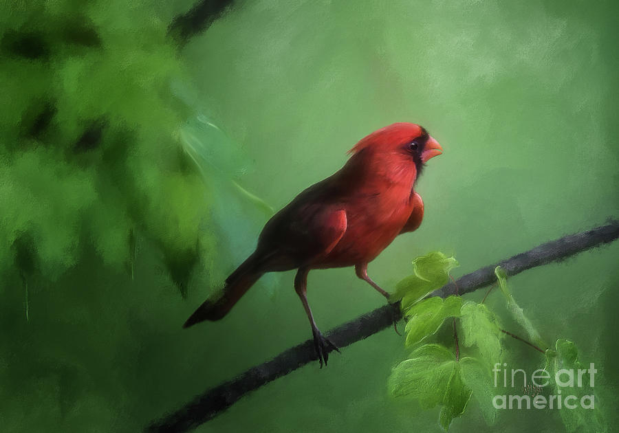 Red Bird On A Hot Day Digital Art by Lois Bryan