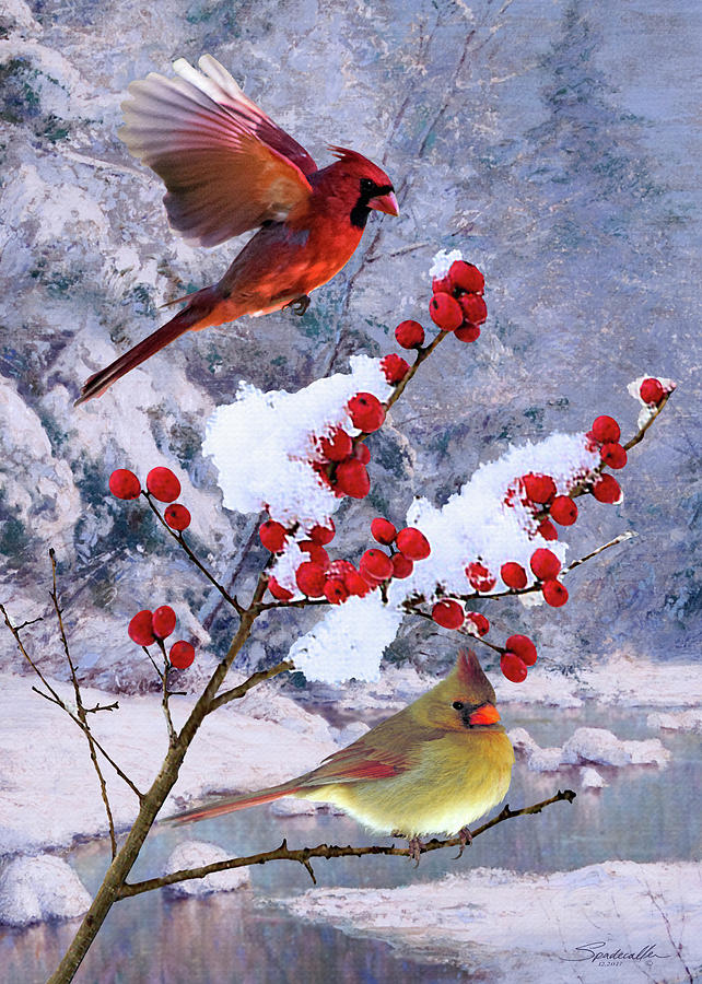 Red Birds of Christmas Digital Art by M Spadecaller