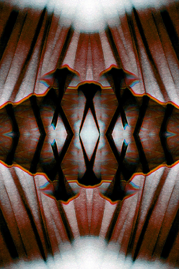 Red Blanket 0002 by Alex W McDonell Red Blanket 0002 by Alex W McDonell