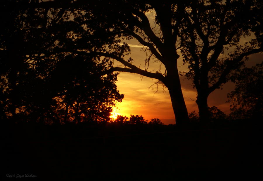 Red Bluff Sunset Photograph by Joyce Dickens