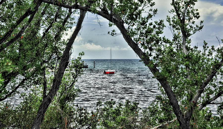 Red Boat in Mangrove Photograph by Ginger Wakem