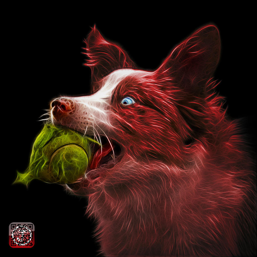 Red Border Collie -  Elska - 9847 - BB Painting by James Ahn