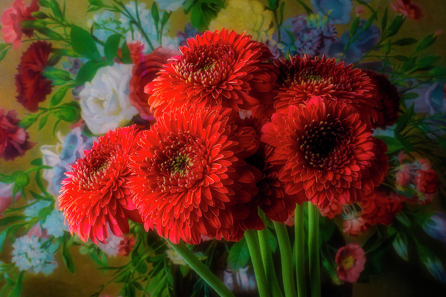 Red Bouquet Of Dahlias Photograph by Garry Gay