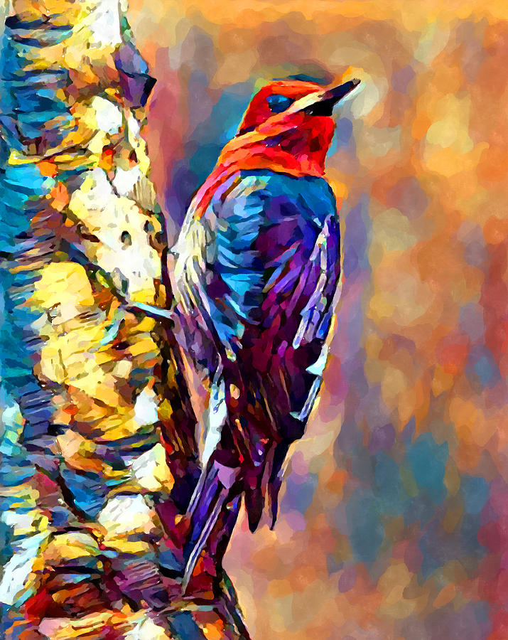 Red-Breasted Sapsucker Painting by Chris Butler