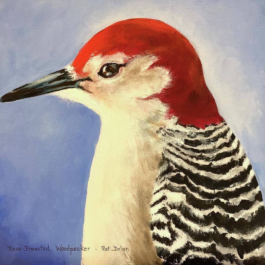 Red Breasted Woodpecker two Painting by Pat Dolan