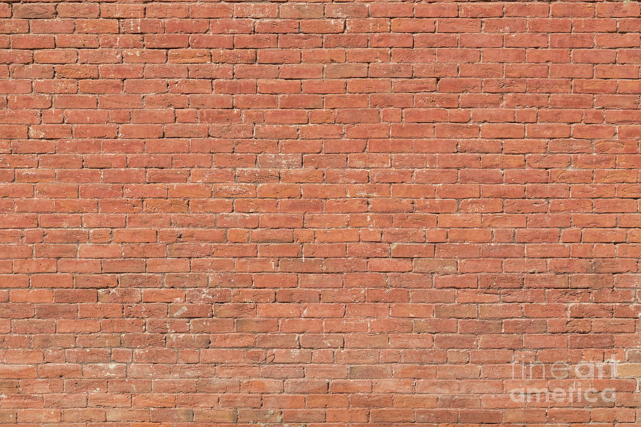 Red Brick Wall Photograph by James BO Insogna
