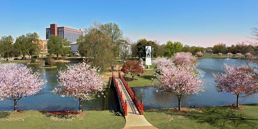 Huntsville Photograph - Red Bridge and a Cherry Tree by Jeannee Gannuch