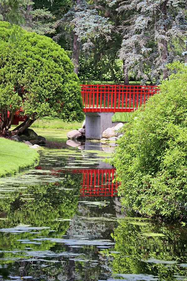 Red Bridge and Reflection 2 Dow Gardens 062618 Photograph by Mary Bedy