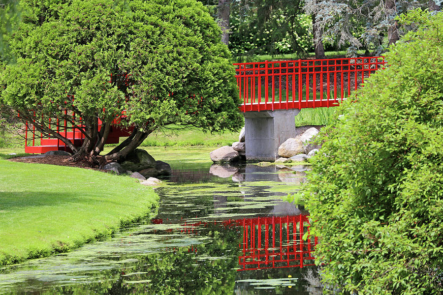 Red Bridge and Reflection Dow Gardens 062618 Photograph by Mary Bedy
