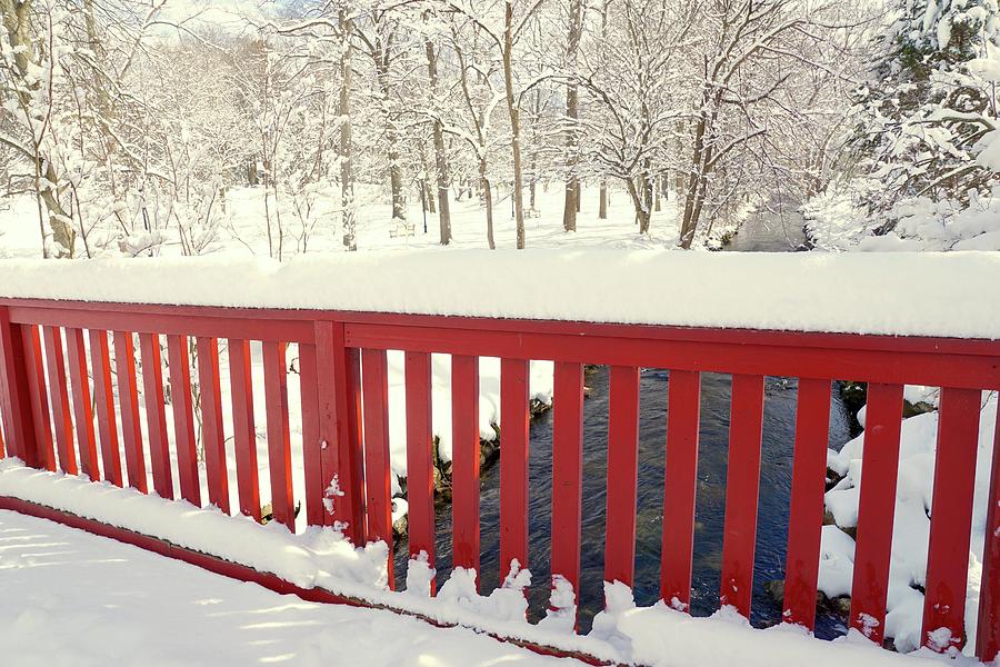 Red Bridge and Snow Reading PA Museum and Arboretum  Photograph by Blair Seitz