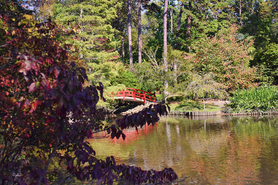 Red Bridge - Duke Gardens Photograph by Paulette B Wright