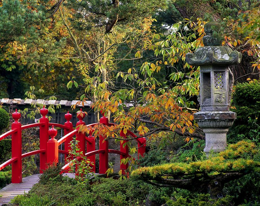 Summer Photograph - Red Bridge & Japanese Lantern, Autumn by The Irish Image Collection 