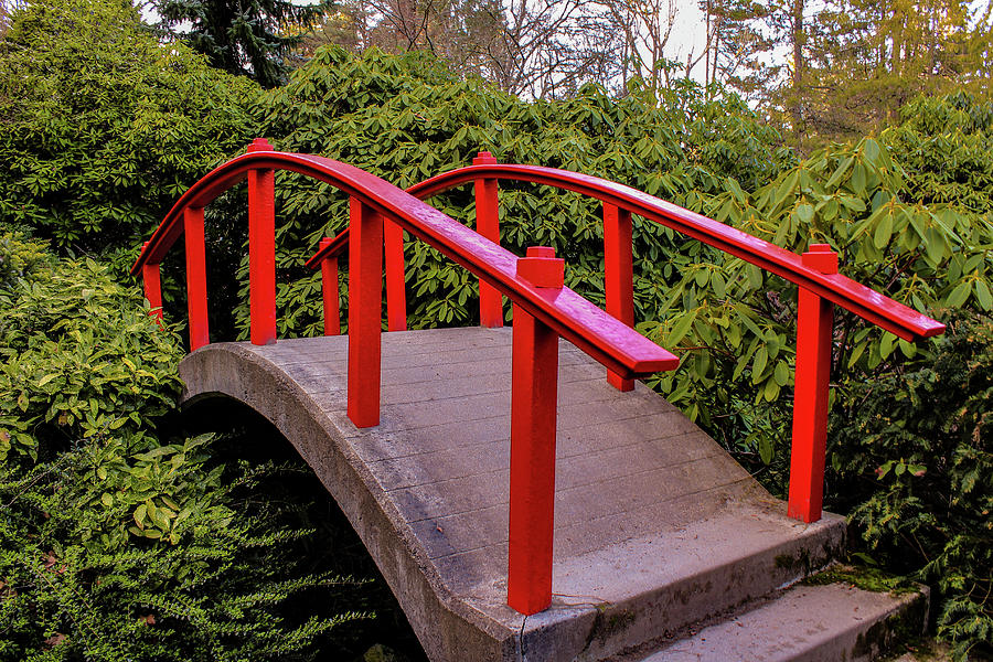 Red Bridge Photograph by Waqarul Haq | Fine Art America