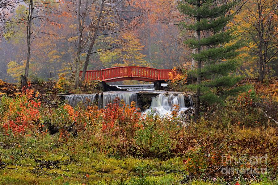 Waterfall Photograph - Red Bridge with Falls by Matthew Winn