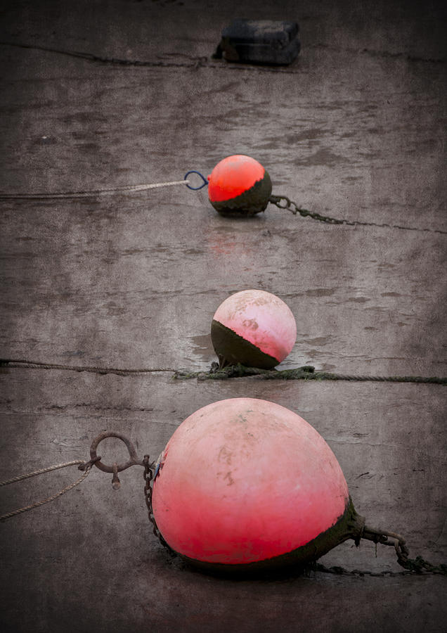 Boat Photograph - Red Buoys  by Svetlana Sewell
