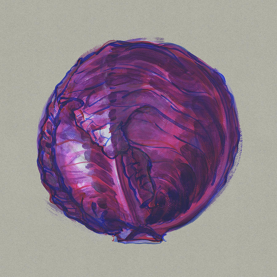 Red Cabbage Painting by Judith Kunzle