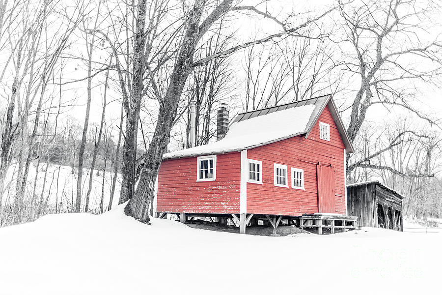 Red Cabin in the Woods Winter in Vermont Photograph by Edward Fielding